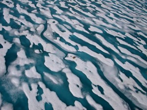 Melting sea ice is having negative impacts on Arctic communities, a panel of experts said at a recent congresssional briefing. (Credit: Brent Else)
