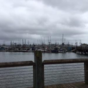 Watching the weather at the R/V Oceanus' dock in Newport, Oregon