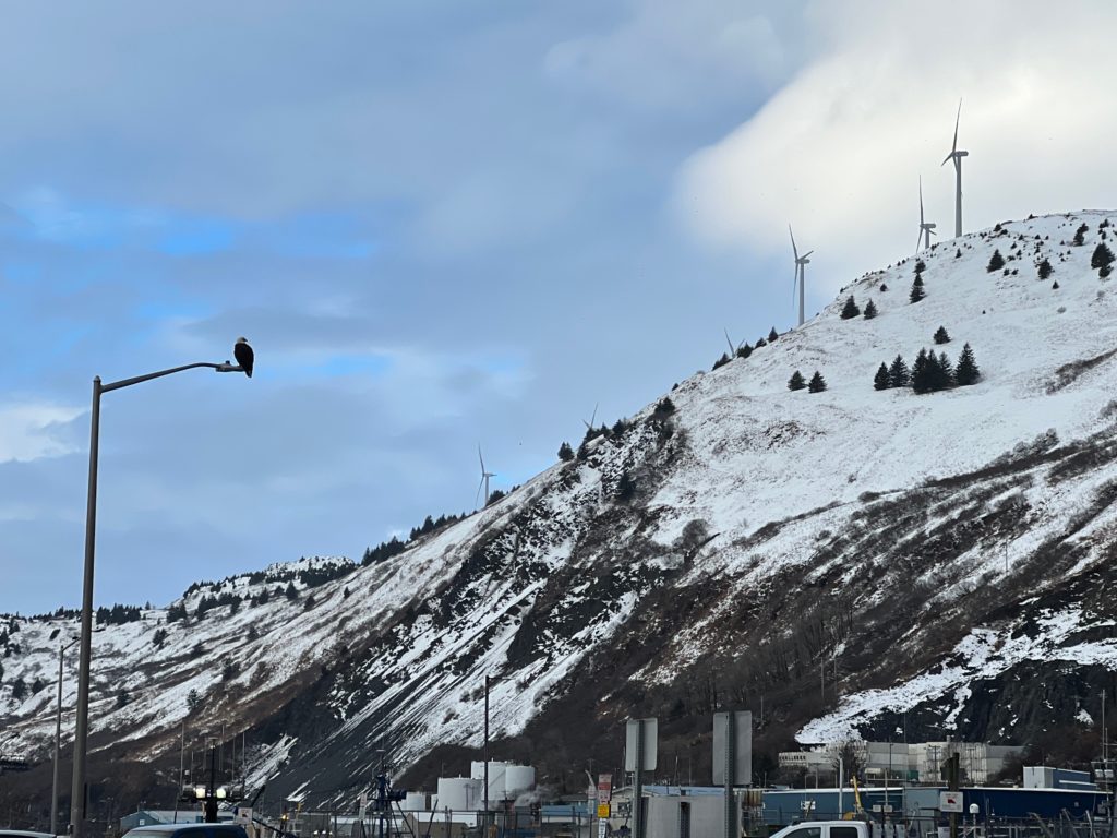 On left, bald eagle on top of a light post. On right, a snow-covered mountain with wind turbines on top.
