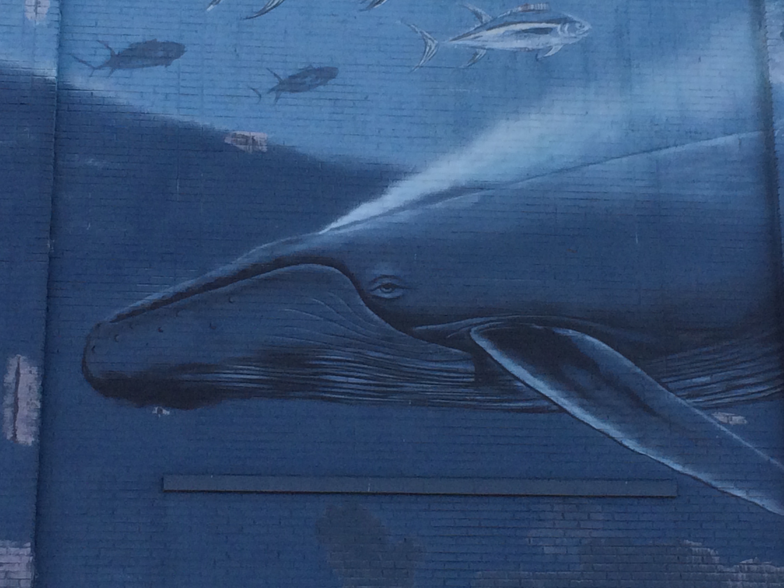 Whaling Wall #42 “East Coast Humpbacks”
