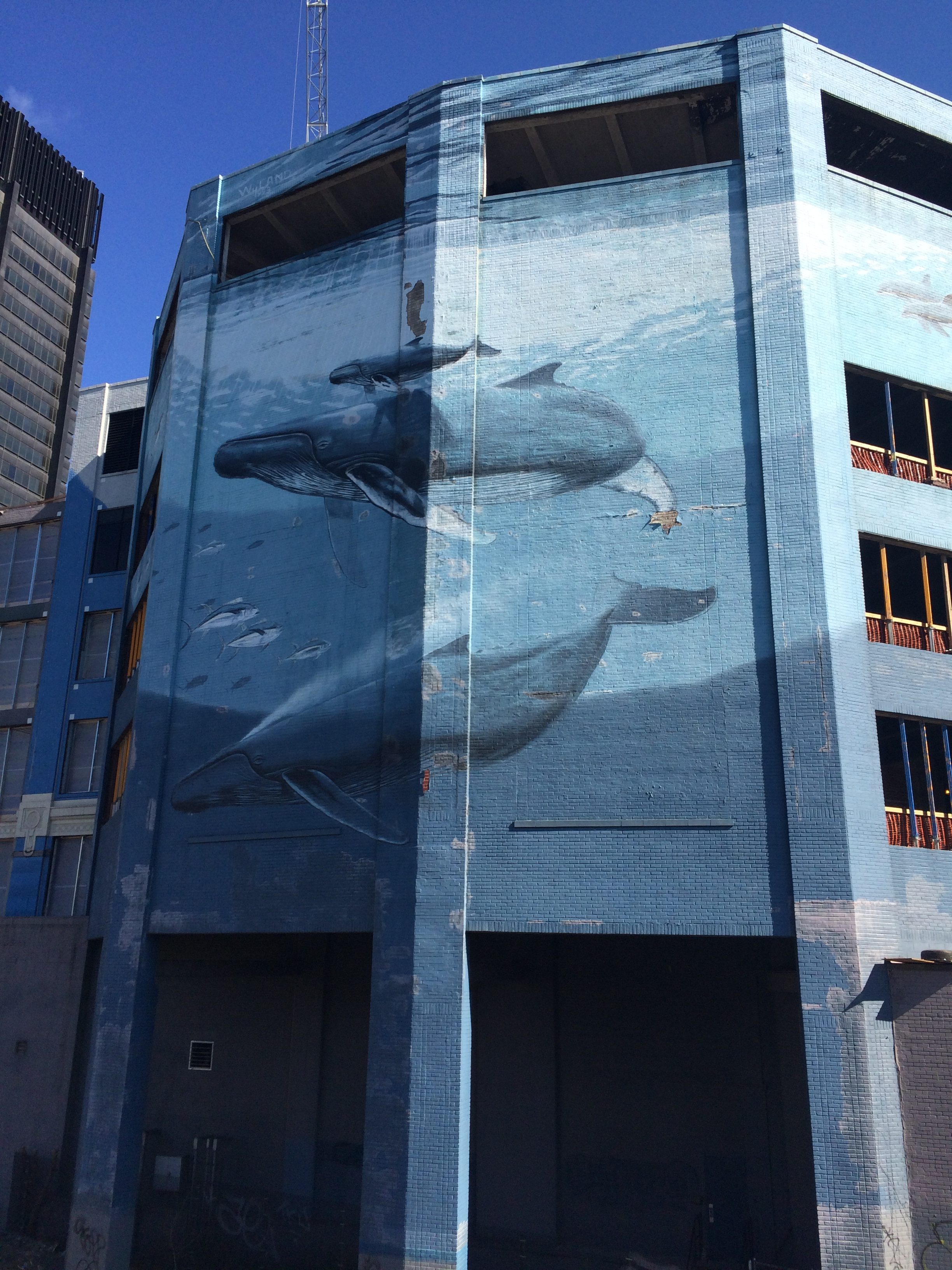 Whaling Wall #42 “East Coast Humpbacks”