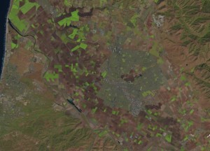 Landsat image of Salinas