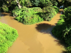 The Hoteo River in Indonesia is brown with suspended sediment in this photograph from 2012. Scientists are working to determine how water quality problems in the country relate to land use.  Image Credit: Jason Julian