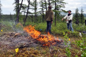 University of Texas at Brownsville biologist Heather Alexander (center, in gray cap) and her research team set controlled fires in Eastern Siberia to study how fire changes future forest growth.  Credit: Valentine Spektor