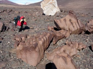 Scientists studied slowly crumbling boulders in Antarctica. The white boulder at the top is sandstone, which stands out from the dark volcanic rocks around it. Credit: Jaakko Putkonen