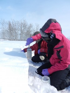 Doctoral student Cheng Dang (foreground) uses a spatula to collect snow in North Dakota.  Credit: S. Warren / Univ. of Washington