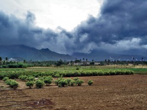 Advancing monsoon clouds and showers in Aralvaimozhy, near Nagercoil, India. A new study finds that focusing on El Niño and La Niña’s impacts on the monsoon in regions and sub-seasons—instead of all-India for the whole monsoon season—may improve rainfall forecasts.  Credit: PlaneMad/CreativeCommons