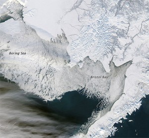 This NASA satellite image from January 2012 shows heavy sea ice conditions in Bristol Bay and the Bering Sea, off the western coast of Alaska. Credit: NASA Earth Observatory, courtesy Jeff Schmaltz, LANCE/EOSDIS MODIS Rapid Response Team at NASA GSFC.