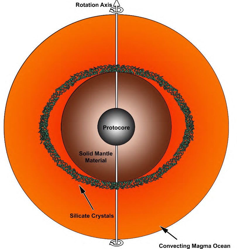 Taking rotation into account presents this alternative scenario for the early stages of the magma ocean crystallization. At the poles the silicate crystals settle at the bottom, whereas at the equator they accumulate at mid-depth. (credit: Christian Maas) 