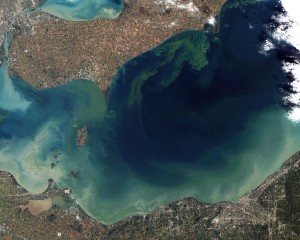 Toxic Algal bloom in Lake Erie, as seen from space. Credit: Jesse Allen and Robert Simmon - NASA Earth Observatory