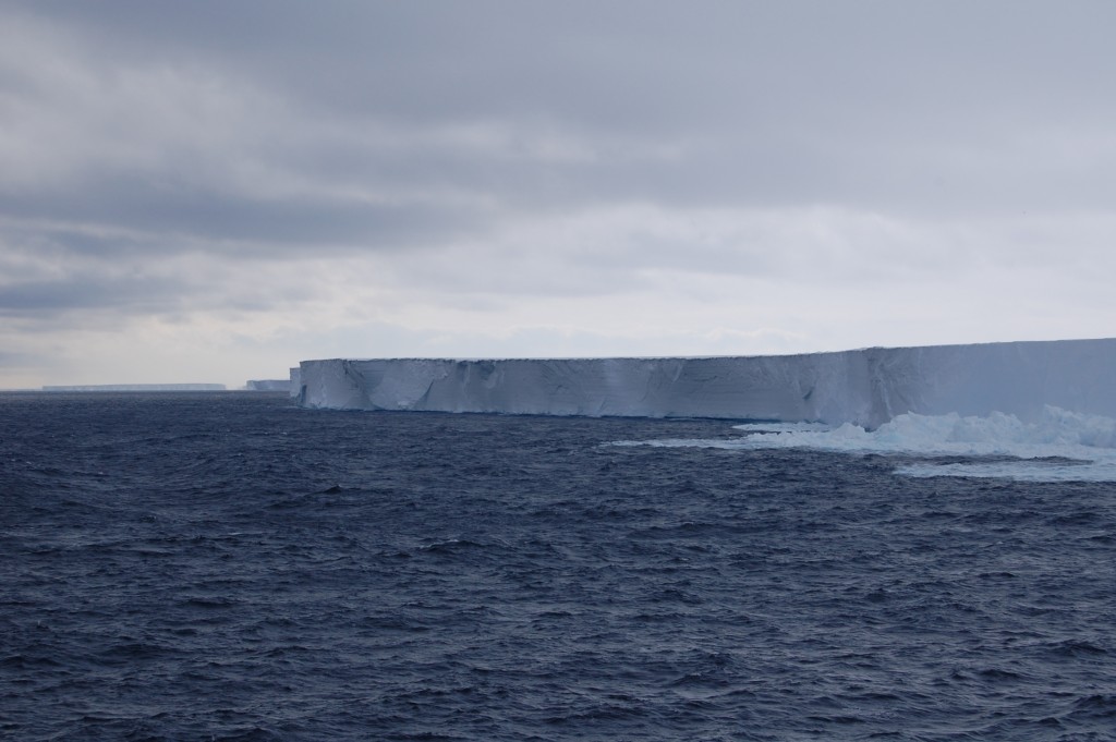 In Antarctica, Melting Ice Drives Unusual Phytoplankton Growth 