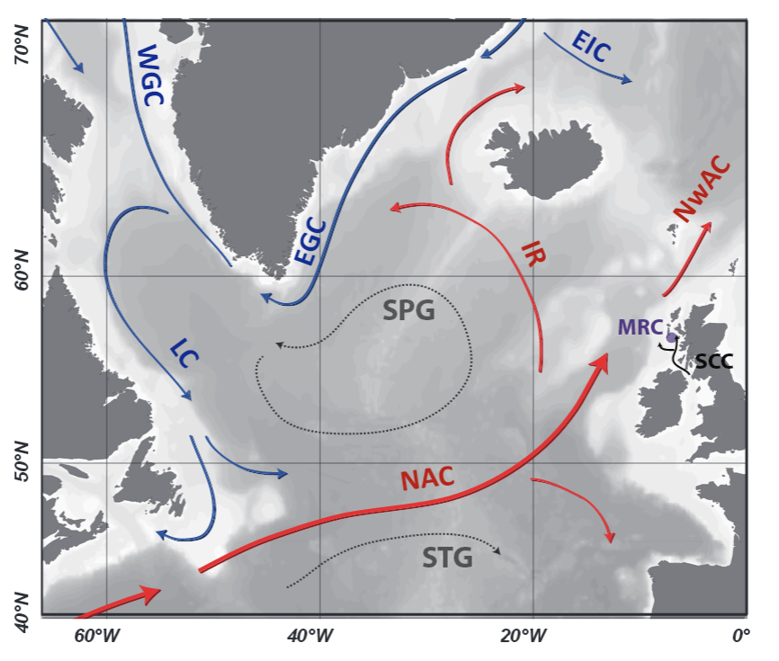 Location of the Mingulay Reef Complex (MRC; purple circle) and major surface circulation features of the North Atlantic showing how subpolar and subtropical (SPG and STG) waters meet, mix and feed into the North Atlantic Current (NAC). Black arrows symbolized the Scottish Coastal Current (SCC) Red arrows show main branches of the warmer more saline North Atlantic Current (NAC), Norwegian Atlantic Current (NwAC) and Irminger Current (IR). Blue arrows show the main cooler fresher East Greenland Current (EGC), East Icelandic Current (EIC), West Greenland Current (WGC) and Labrador Current (LC). Note that an increase in the SPG will bring enhanced contribution of northern waters to the NAC. Credit Dourain et al 