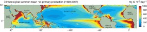 Marine phytoplankton in the tropical oceans 1998 to 2007. Red indicates large concentrations. From Behrenfeld et al., 2006. Credit: American Geophysical Union 