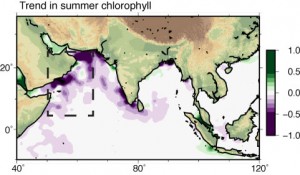 Trend in marine phytoplankton in the Indian Ocean 1950 to 2012. Purple indicates a significant decline. Credit: American Geophysical Union