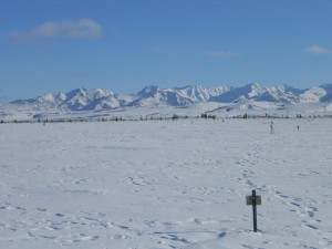 A new study suggests that the northern tundra may be shifting to a carbon source. Credit: Elizabeth Webb