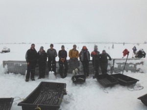 Webb's team built snow fences to simulate how warming temperatures would affect carbon flux in the Alaskan permafrost. Credit: Elizabeth Webb