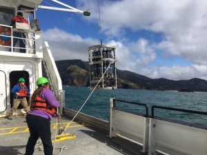 Deploying the CTD off the coast.