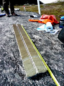 This sediment core, collected from a lake bottom in Western Greenland, contains aquatic leaf waxes that reveal information about the history of precipitation at the site. Credit: Jason Briner. 
