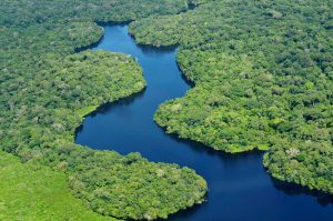 The Amazon forest stores 100 billion tons of carbon in biomass. A new study shows a recent drought temporarily shut down the rainforest's ability to store carbon. Credit: Neil Palmer / CIAT for Center for International Forestry Research (CIFOR).