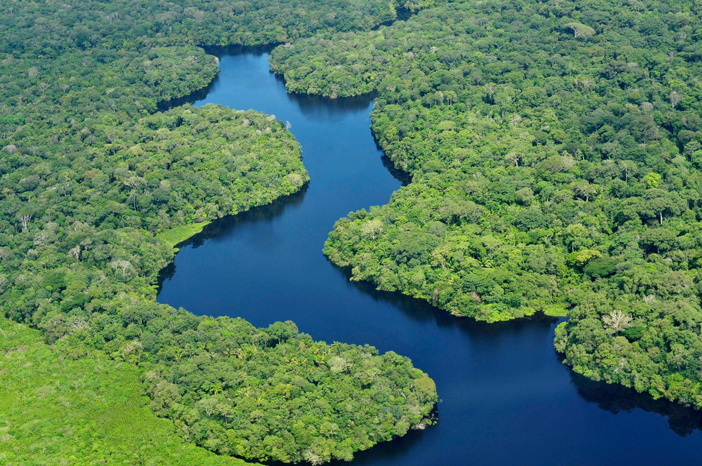 Drought caused the Amazon to stop storing carbon - GeoSpace - AGU  Blogosphere