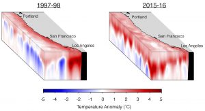 Wintertime temperature anomalies off the U.S. west coast during the strong El Niños of 1997-98 and 2015-16. In 1997-98 warming was strongest near the coast, consistent with effects of El Niño. In 2015-16, warming was more uniform and widespread, consistent with pre-existing warming known as 'the Blob.' Credit: Michael Jacox
