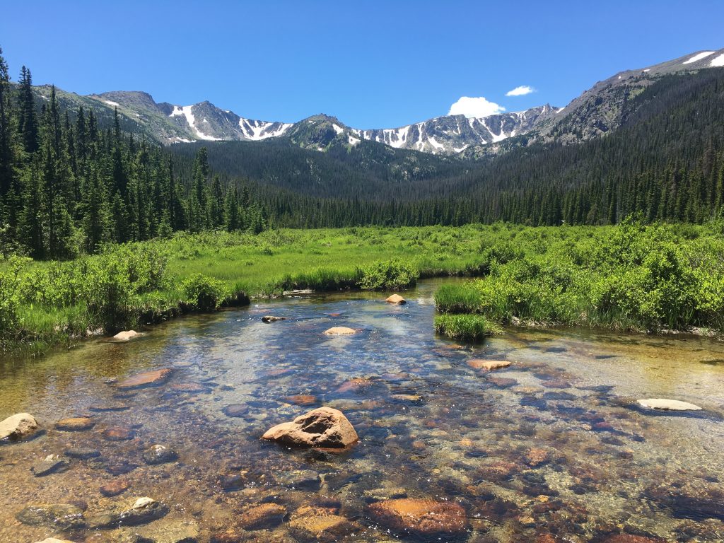 Earlier snowmelt carries drastic consequences for forests - GeoSpace ...