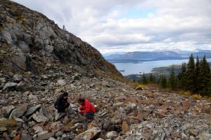 Masako Tominaga and Andreas Beinlich inspect a sample of serpentinite found near the top of Monarch Mountain. Credit: Rebecca Fowler