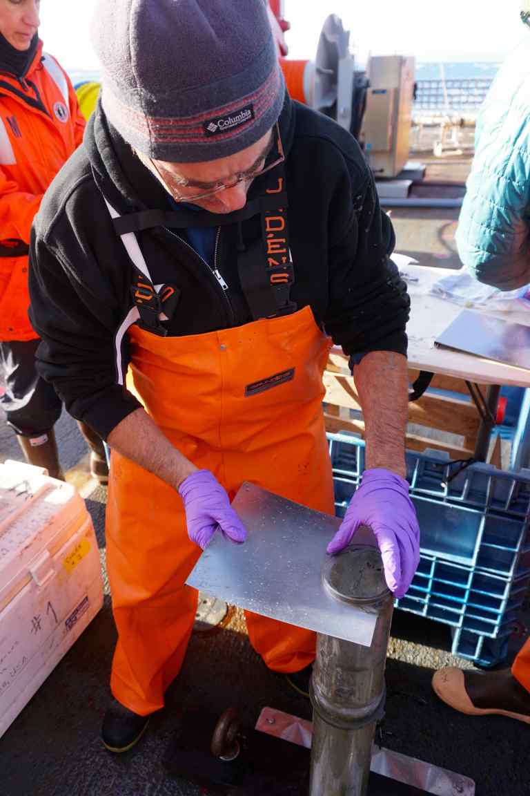 Dr. Miguel Goñi of OSU cutting a core sample. The cores are cut into layers 1 cm thick by placing a 1 cm tall plastic ring on top before we push the mud up. We cut between the plastic ring and the tube.