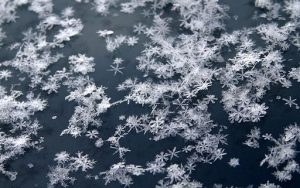 Every snowflake is unique—and that could have a big effect on determining how much snow will fall, according to new research. Credit: Kevin C Chen (Own work,) CC BY-SA 2.0, via Wikimedia Commons. 