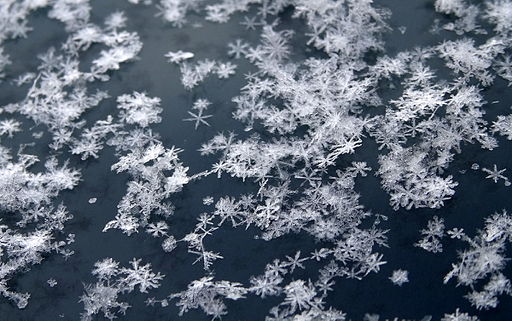 Snowflake variability has significant impact on remote sensing of ...