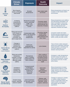 This table lists the various causes and ways in which climate change affects human health. Extreme heat, along with air quality and vector-borne infection, are just a few of the ways climate change inadvertently threatens human health. Image credit: U.S. Global Change Research Program. 