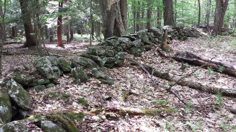 An old stone wall marks a boundary of a long-abandoned farm near Grafton, New York, once part of the colonial Manor of Rensselaerwyck. A section of the 700,000-acre manor west of the Hudson River was was surveyed for rental allotments in 1787. Credit: John Delano