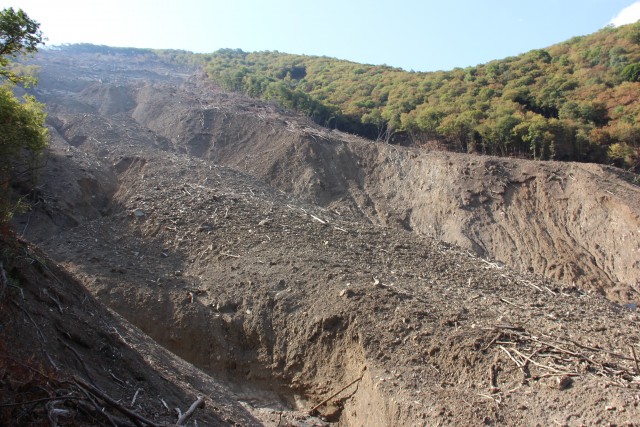 Tbilisi zoo landslide and flood