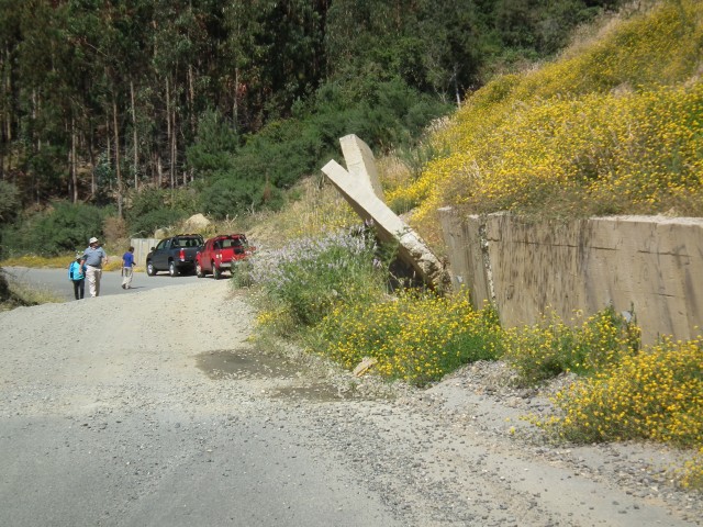 Arauco landslide