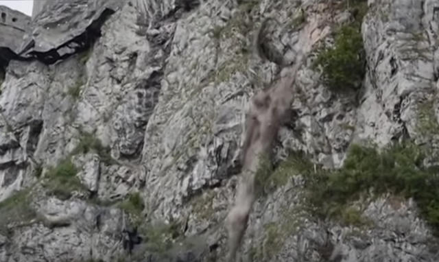 three landslide videos