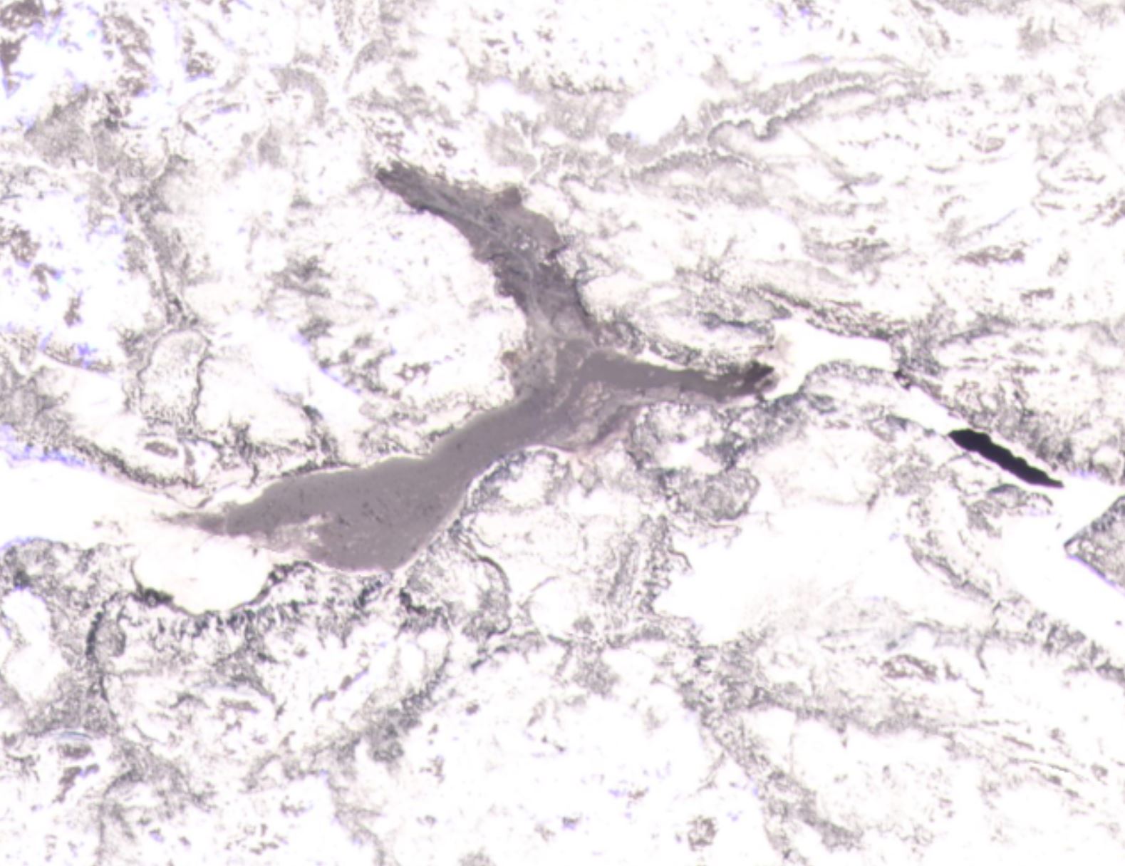 Planet Labs image of the landslide on the Great Whale River. 