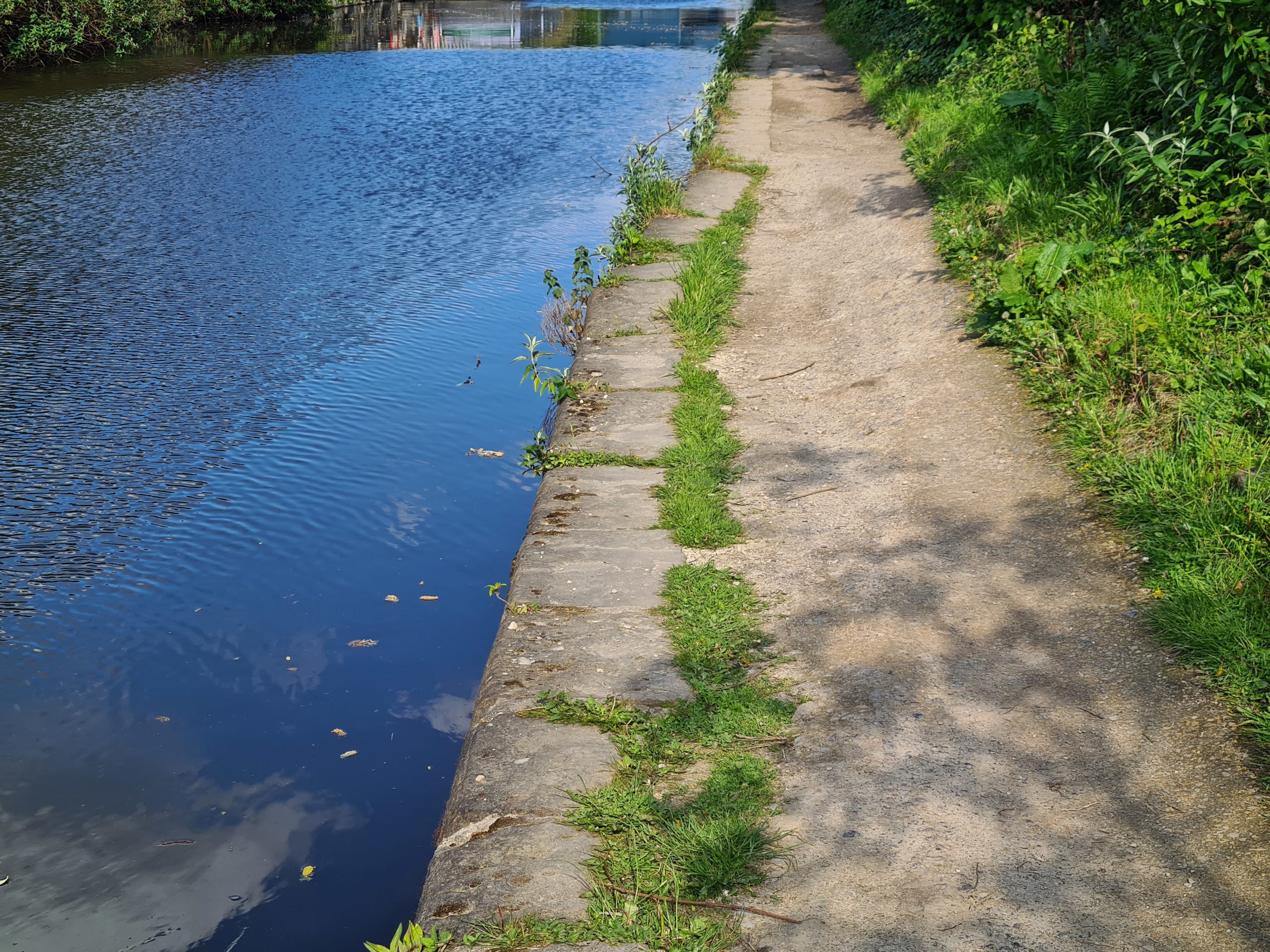 A developing canal bank failure on the Sheffield and Tinsley canal