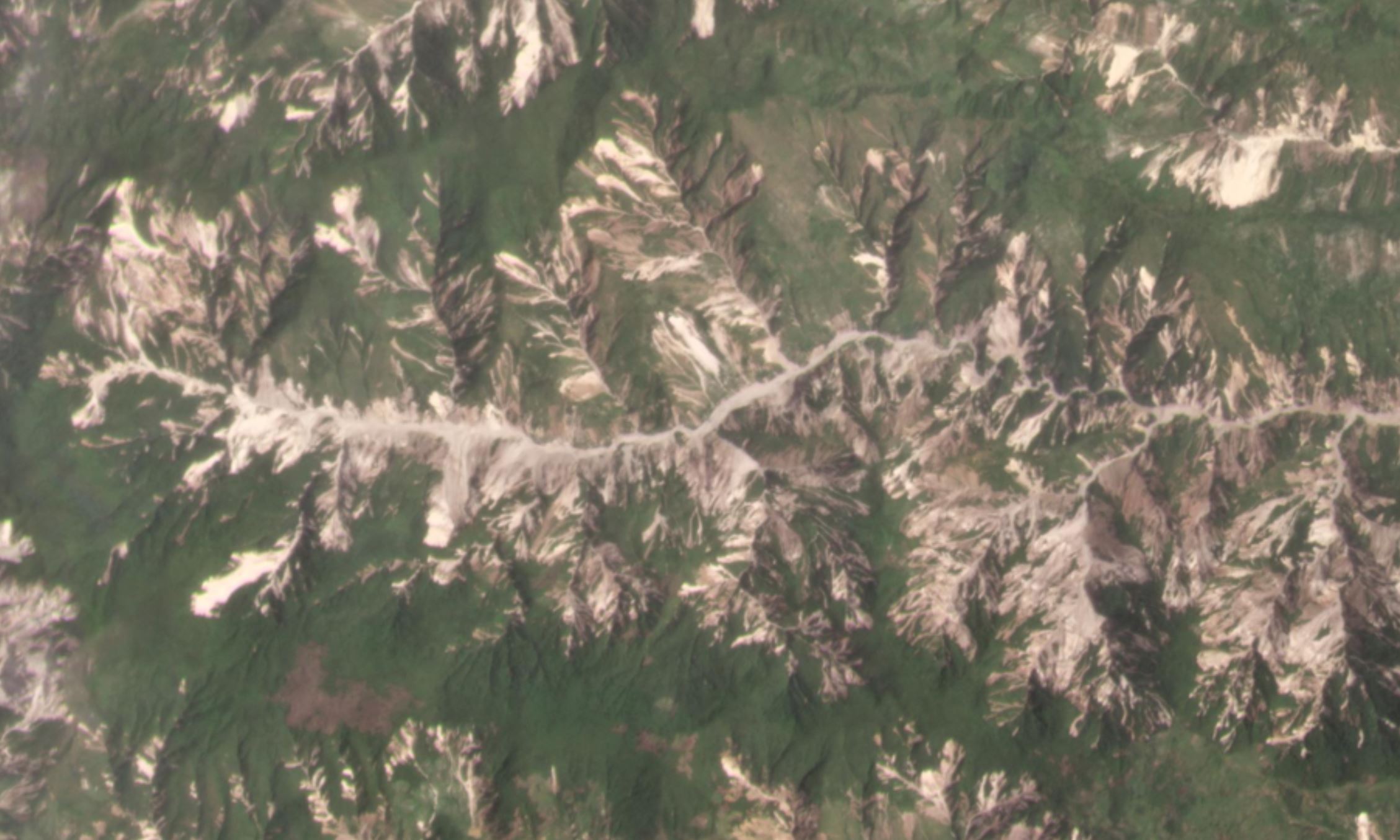 Detail of landslides in Pic Macaya National Park after the 14 August 2021 earthquake in Haiti. 