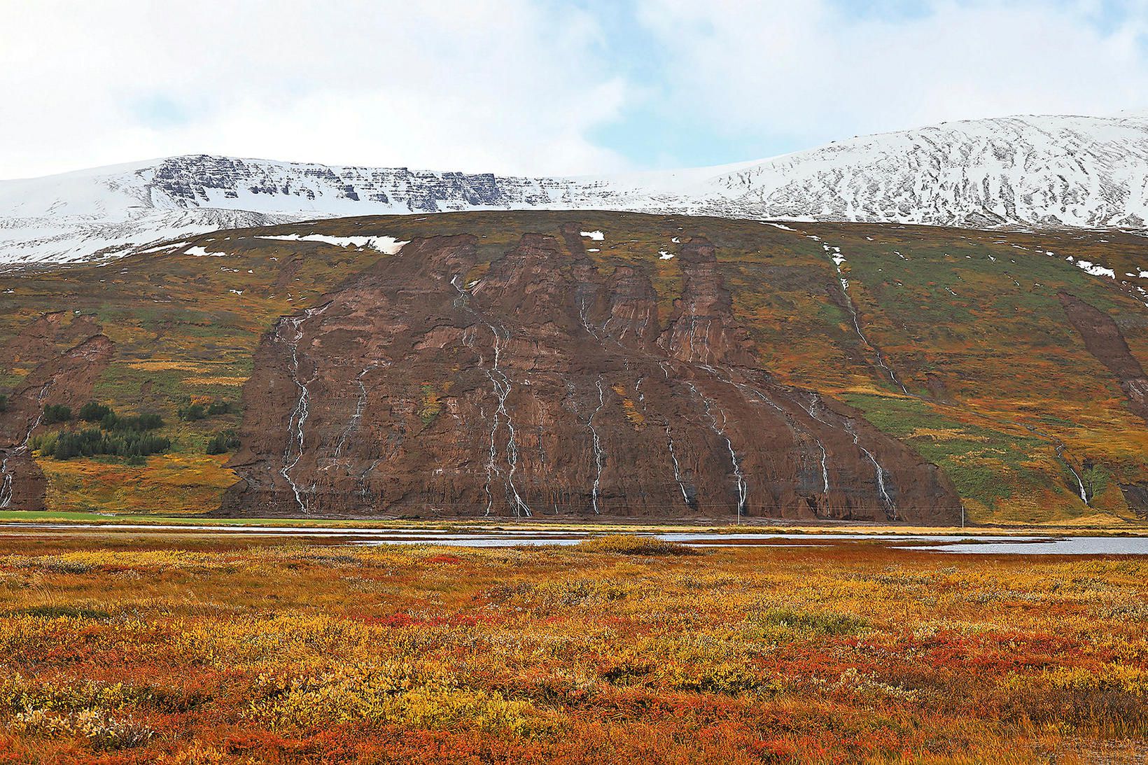 The coalescence of multiple shallow landslides at Þingeyjarsveit in Iceland. 