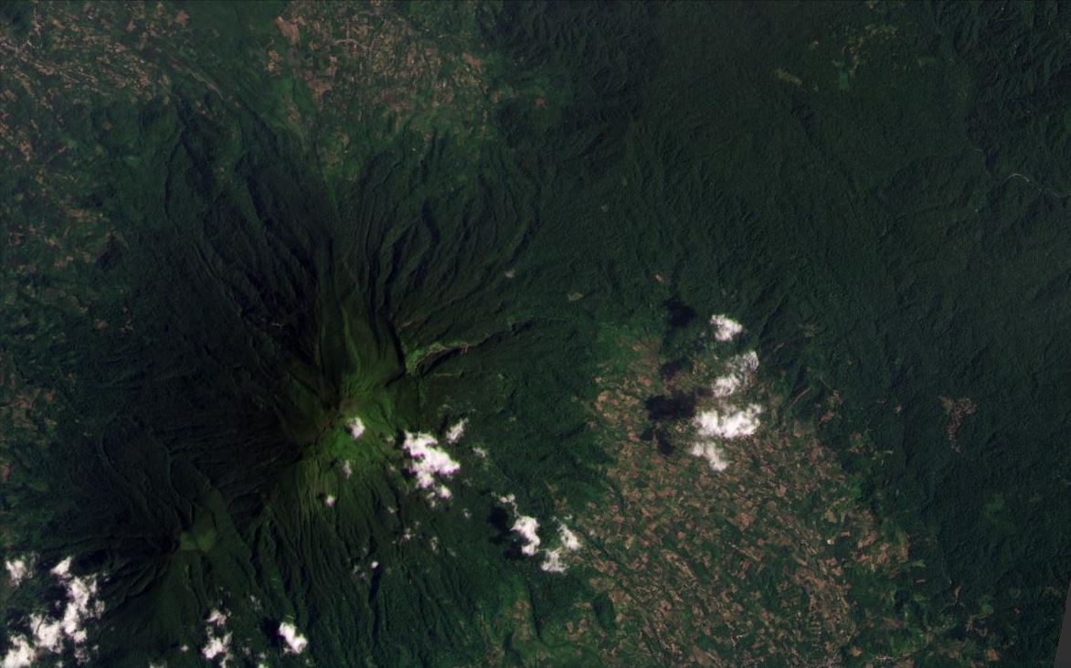 Satellite image of the site of the landslides triggered by the 25 February 2022 Sumatra earthquake.