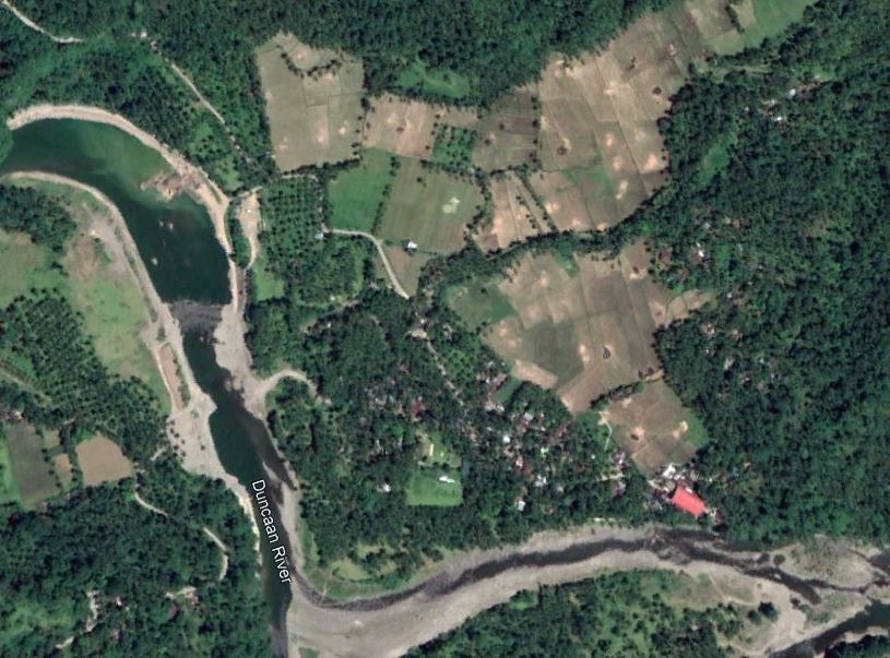 Google Earth image of the toe of the site of the Kantagnos village landslide in the Philippines. 