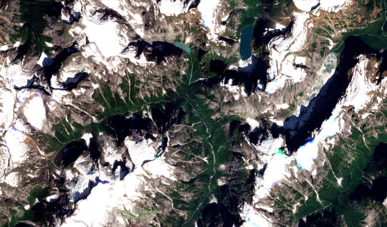 Satellite image of the site of the rock avalanche on the Ecstall River in BC, collected on 1 August 2022. 