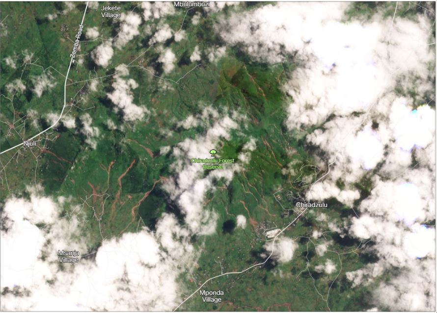 The area affected by landslides triggered by Cyclone Freddy in Chiradzulu Forest Reserve, Malawi. 