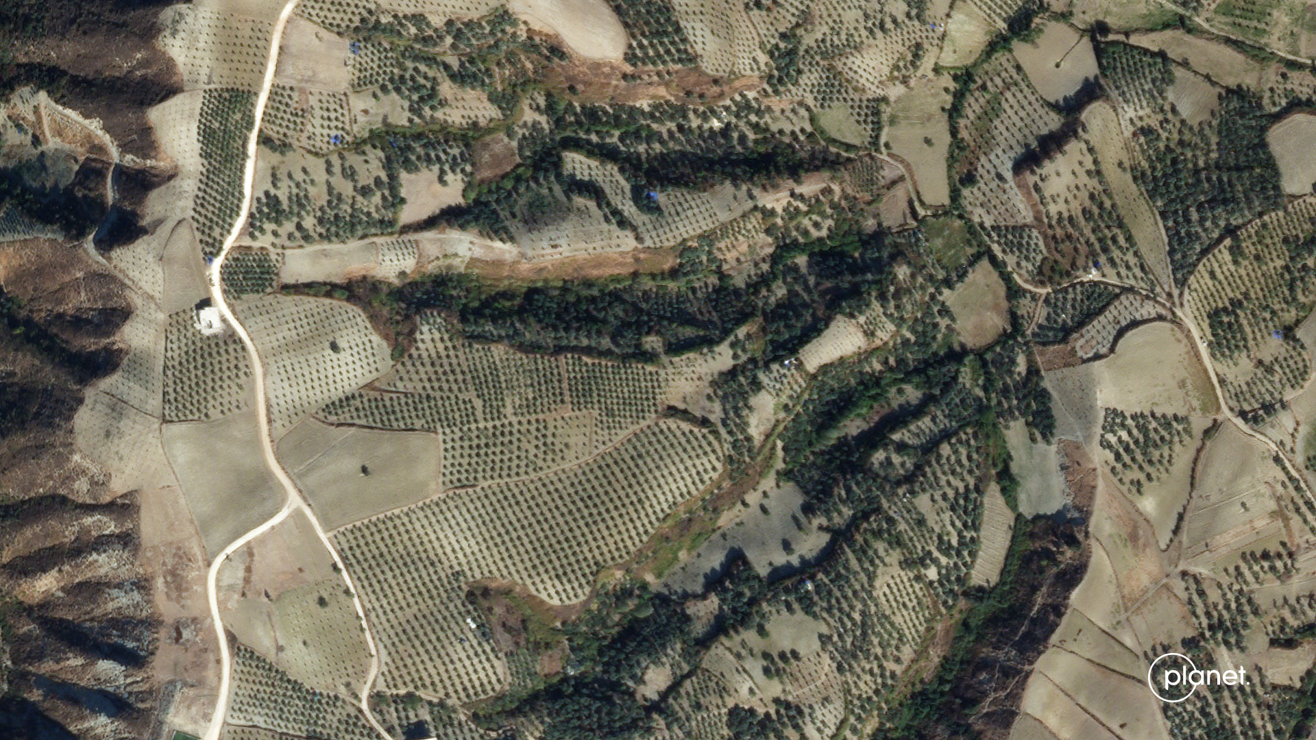 Satellite image of the site of the landslide in an olive grove near to Tepehan in Hatay, Turkey.
