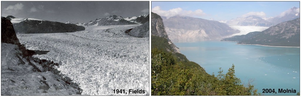 Muir Glacier, photographed by William O. Field on 13 August 1941 (left) and by Bruce F. Molnia on 31 August 2004 (right). From the NSIDC Glacier Photograph Collection: Repeat Photography of Glaciers