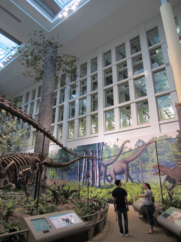 That's a library back there. That's right, a library where the reading nooks look out over a dinosaur exhibit. Why doesn't my school have this?
