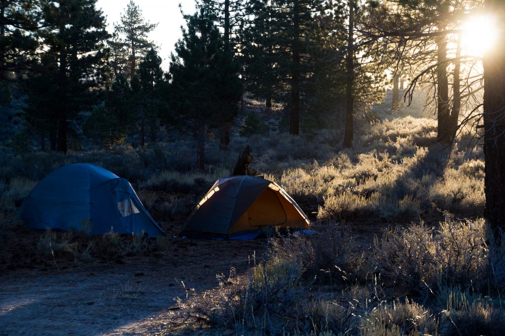 Two tents in a high desert campsite in the early morning sun.