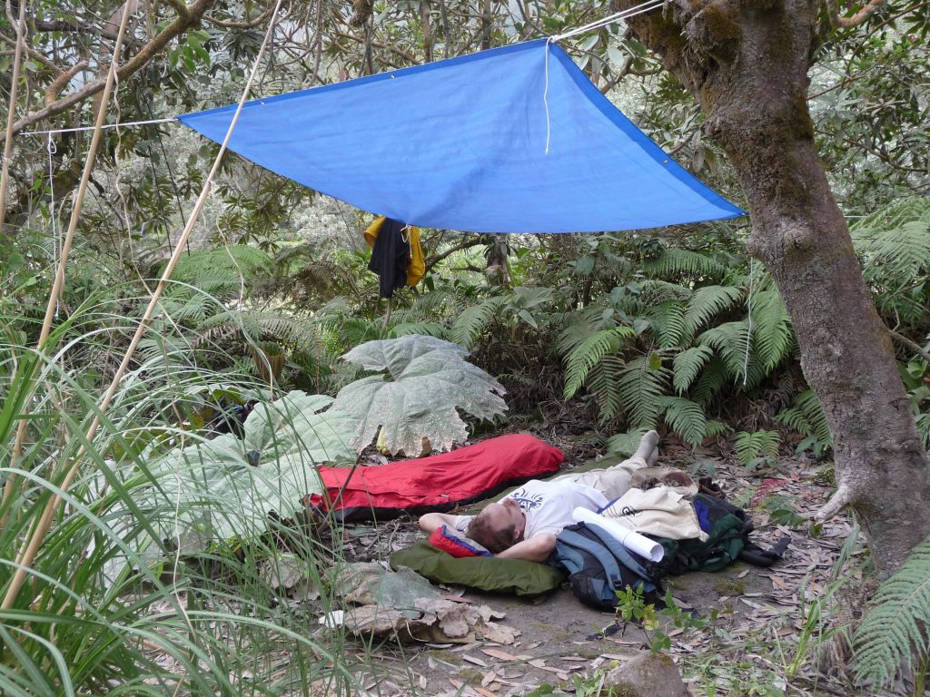 A tent-less jungle campsite in Guatemala, with a tarp sheltering two sleeping bags.
