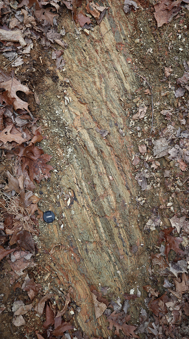 Mylonite exposed in a gully. Lens cap for scale.