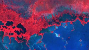 Everglades false color composite of shoreline